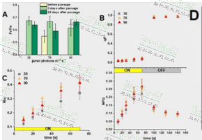 Z6��������ʱ���й����ٷ���վ
