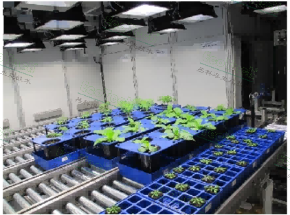 Z6��������ʱ���й����ٷ���վ