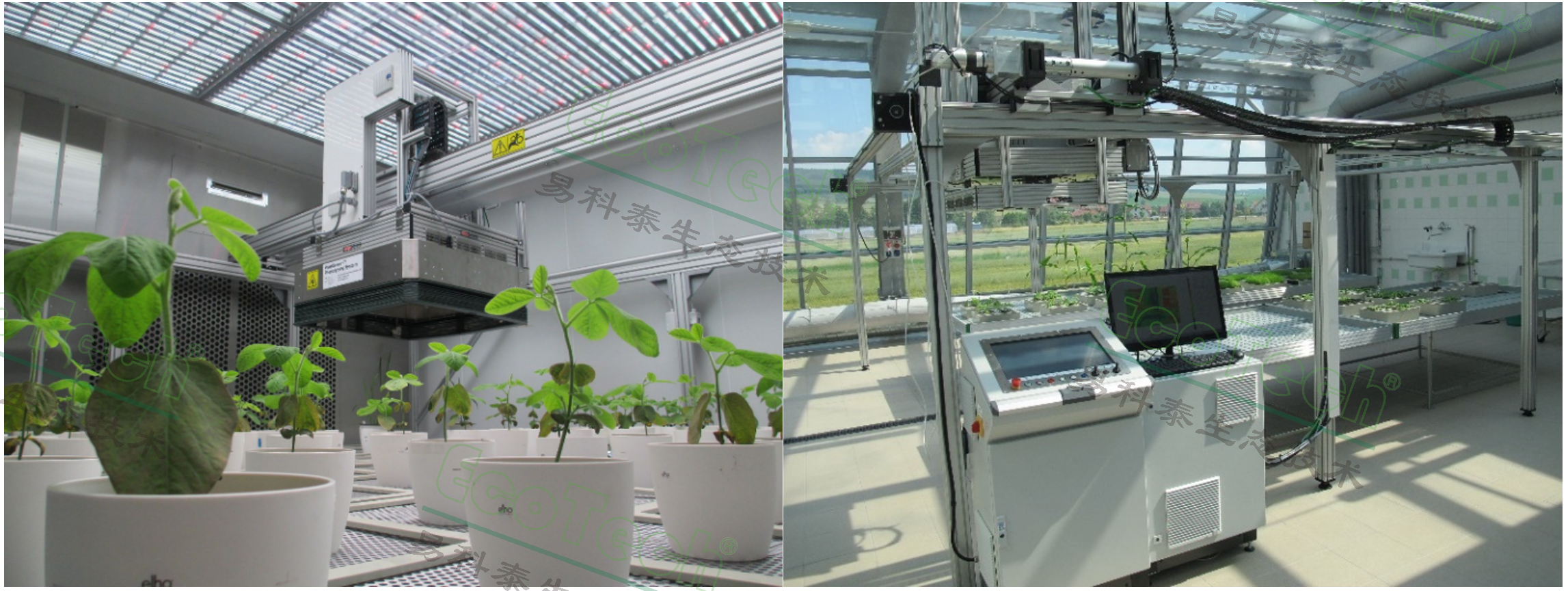 Z6��������ʱ���й����ٷ���վ