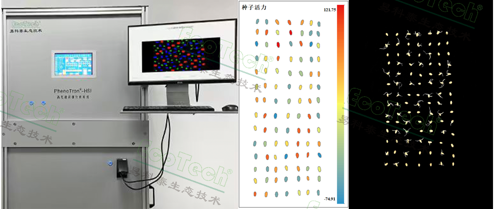 Z6��������ʱ���й����ٷ���վ
