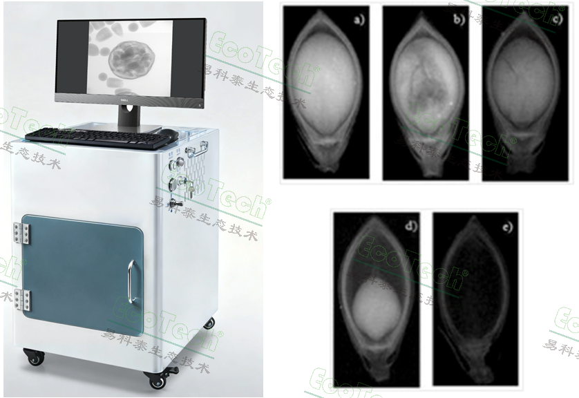 Z6��������ʱ���й����ٷ���վ