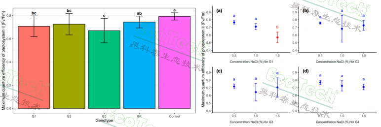 Z6��������ʱ���й����ٷ���վ