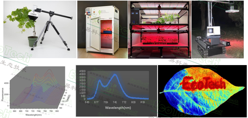 Z6��������ʱ���й����ٷ���վ