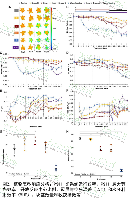 Z6��������ʱ���й����ٷ���վ