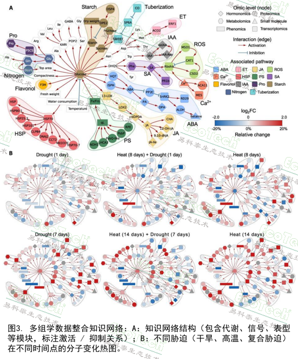 Z6��������ʱ���й����ٷ���վ