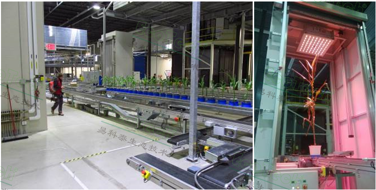 Z6��������ʱ���й����ٷ���վ