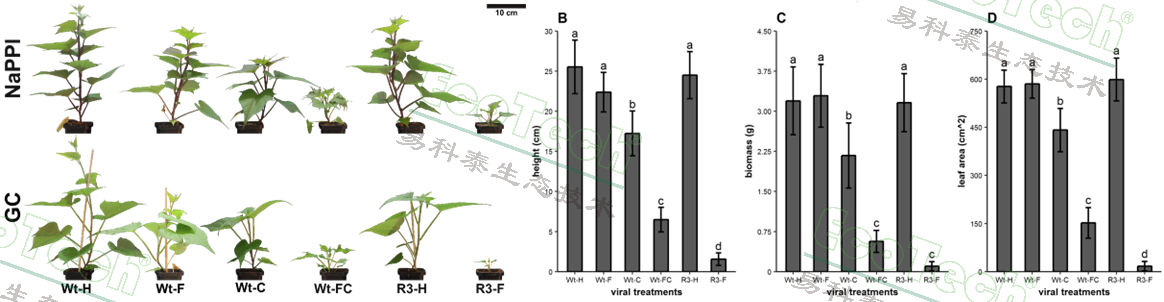 Z6��������ʱ���й����ٷ���վ