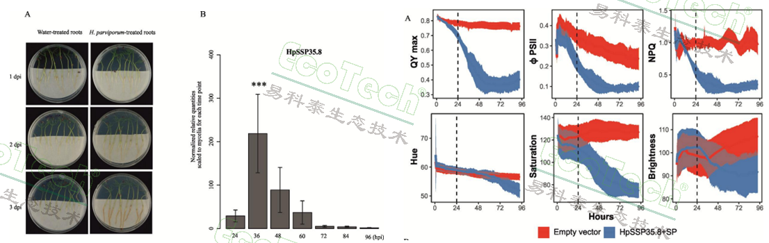 Z6��������ʱ���й����ٷ���վ