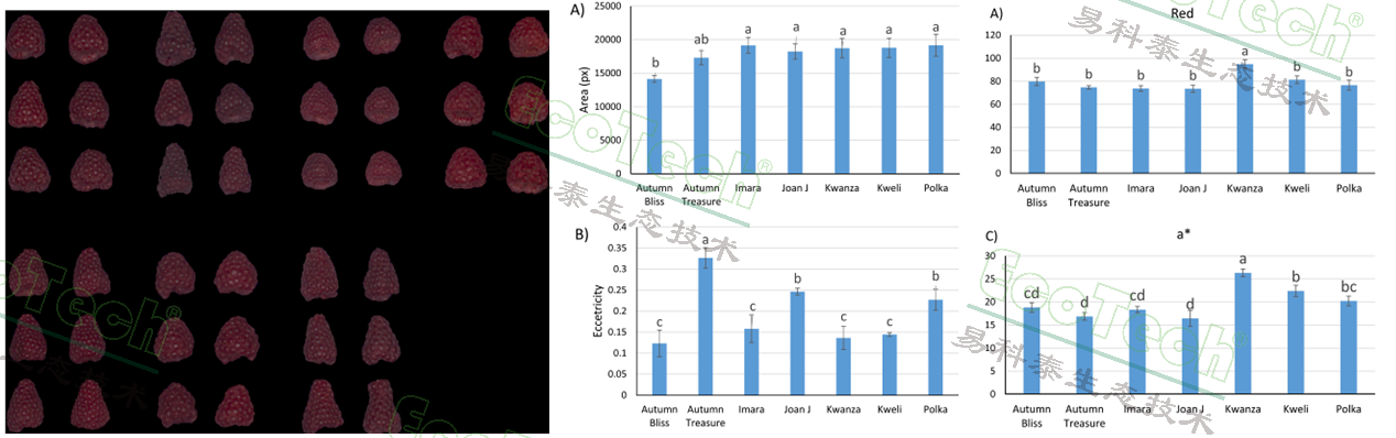 Z6��������ʱ���й����ٷ���վ