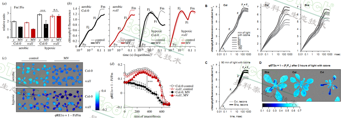 Z6��������ʱ���й����ٷ���վ
