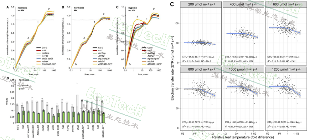 Z6��������ʱ���й����ٷ���վ