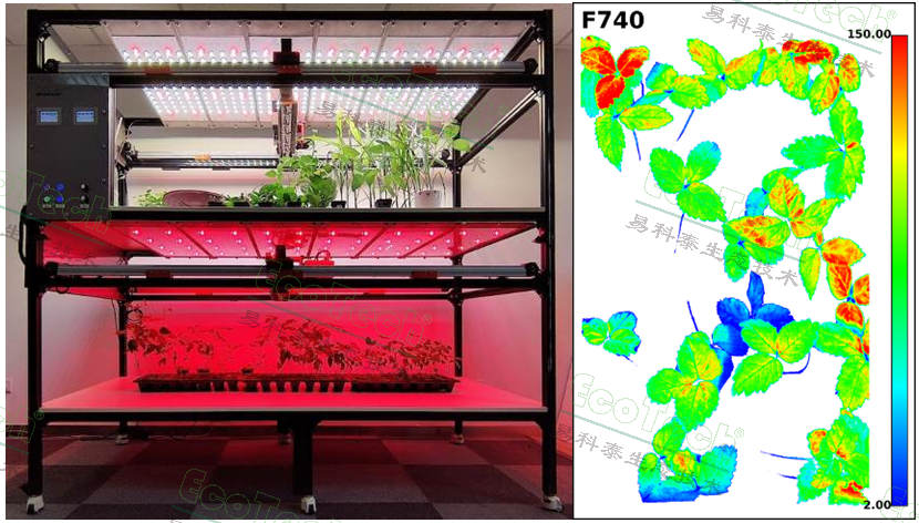 Z6��������ʱ���й����ٷ���վ