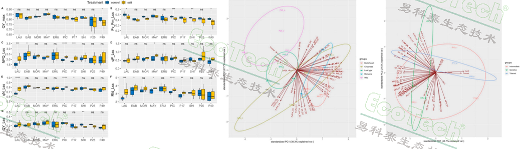 Z6��������ʱ���й����ٷ���վ