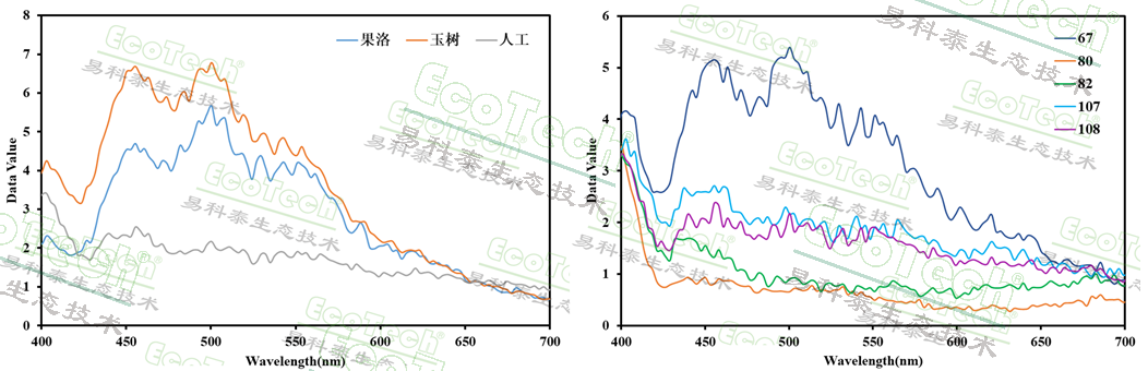 Z6��������ʱ���й����ٷ���վ