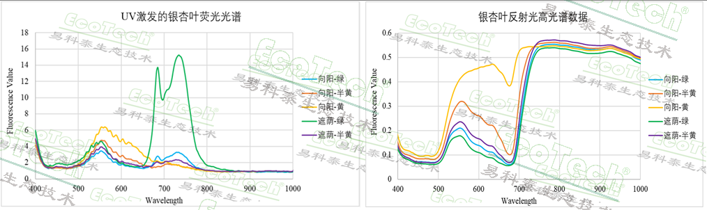 Z6��������ʱ���й����ٷ���վ