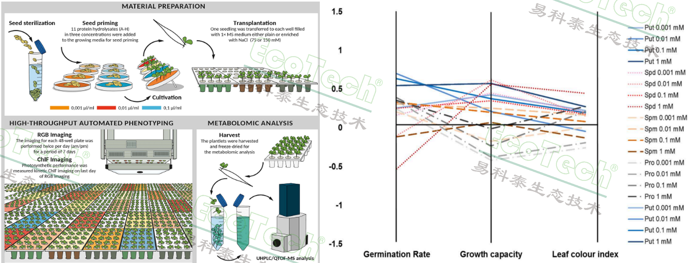 Z6��������ʱ���й����ٷ���վ