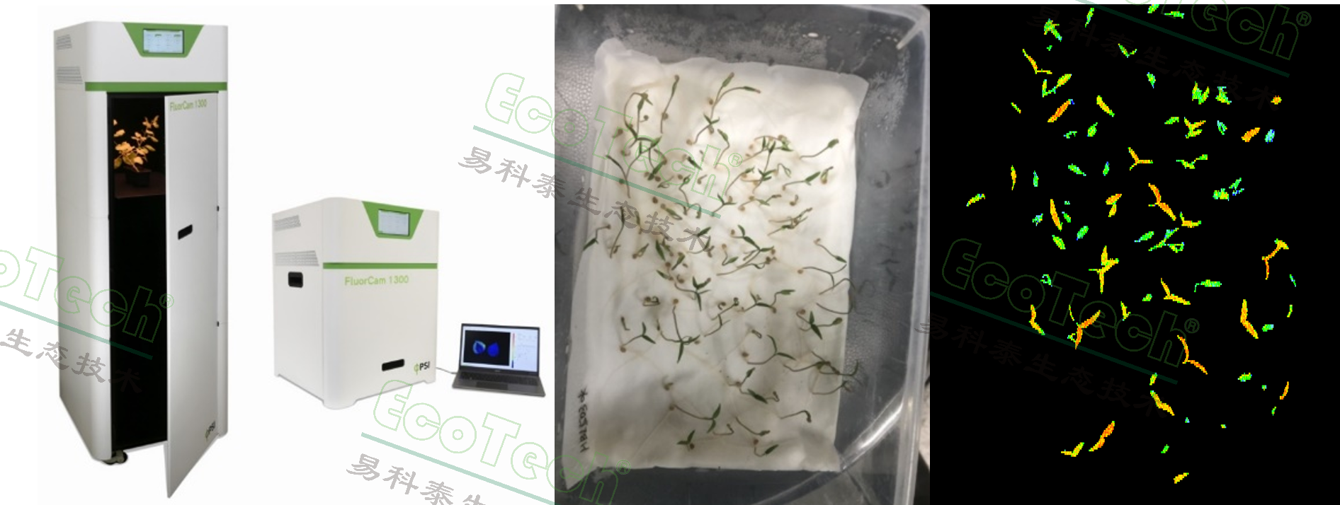 Z6��������ʱ���й����ٷ���վ