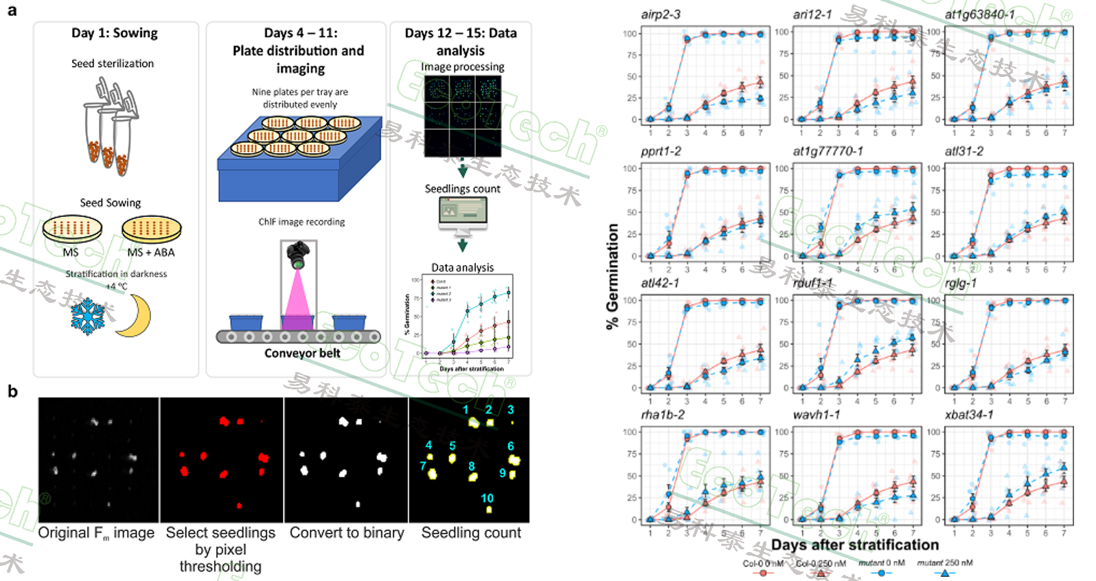 Z6��������ʱ���й����ٷ���վ