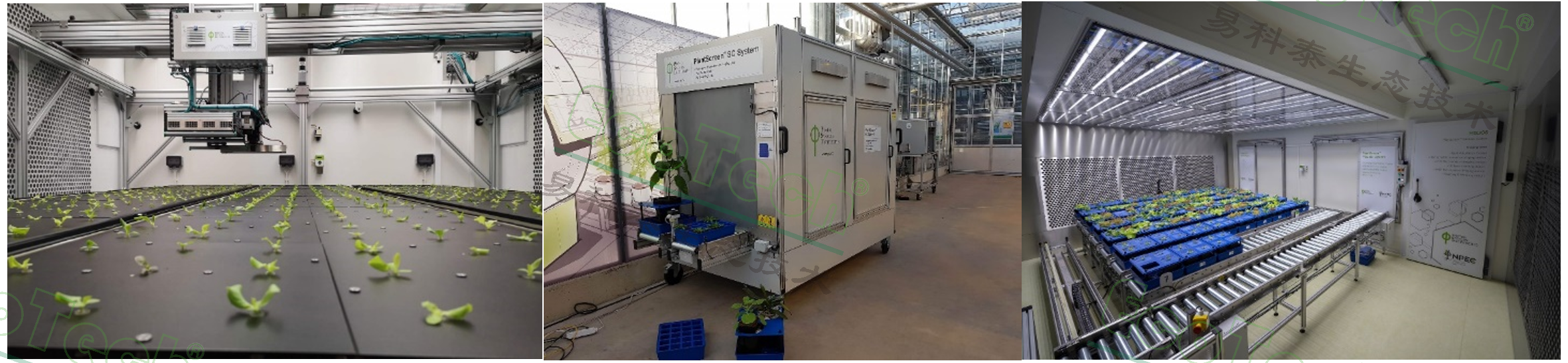 Z6��������ʱ���й����ٷ���վ