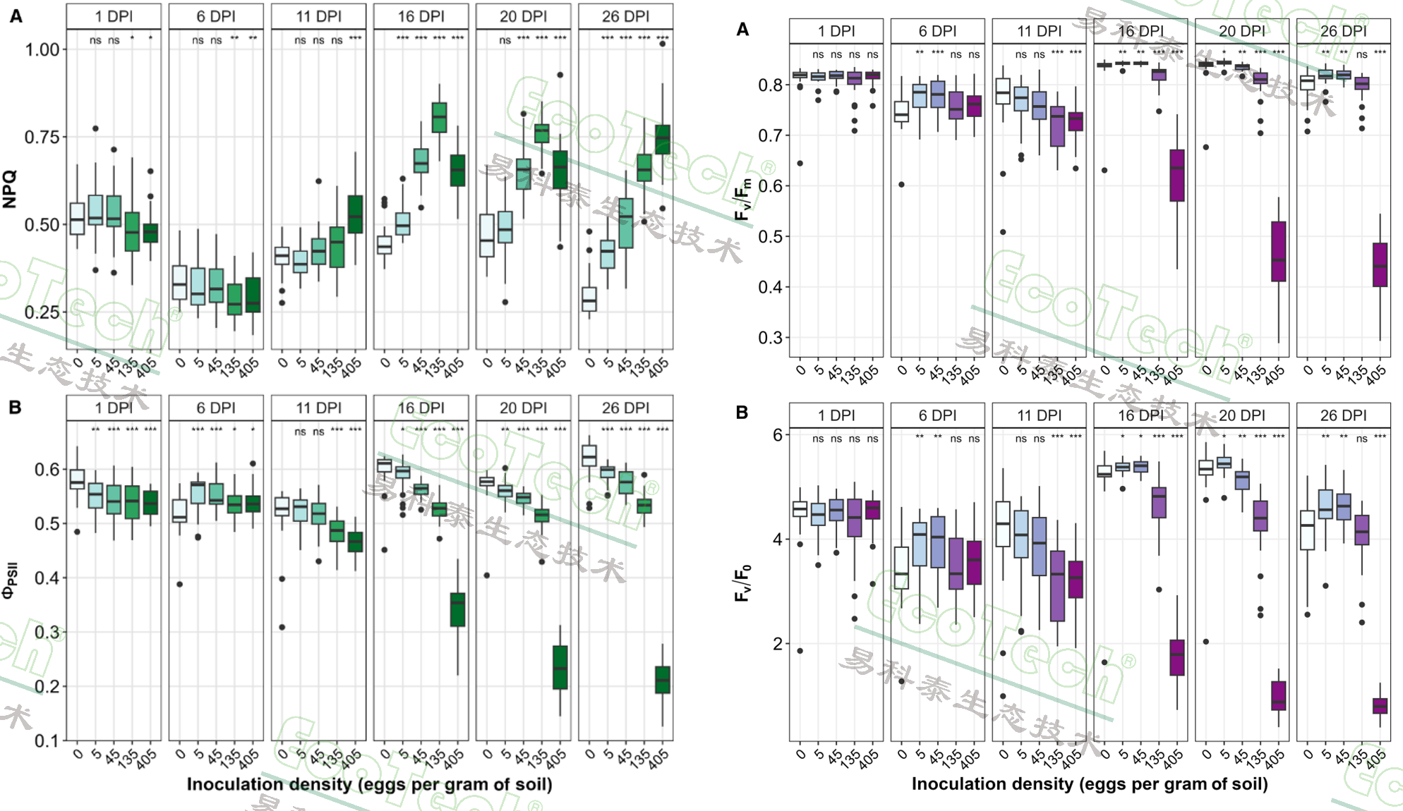 Z6��������ʱ���й����ٷ���վ