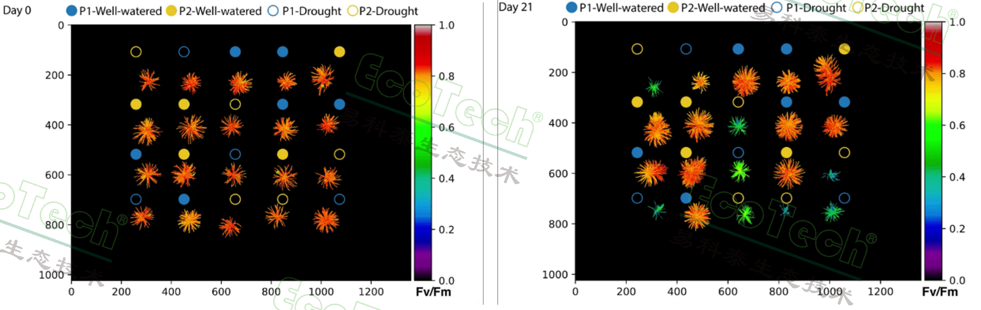 Z6��������ʱ���й����ٷ���վ