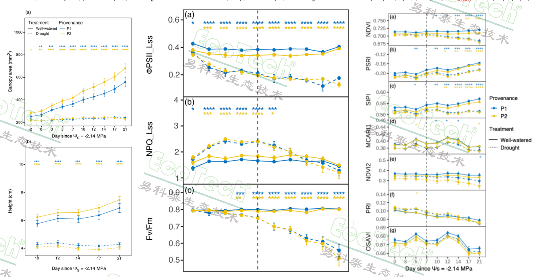 Z6��������ʱ���й����ٷ���վ