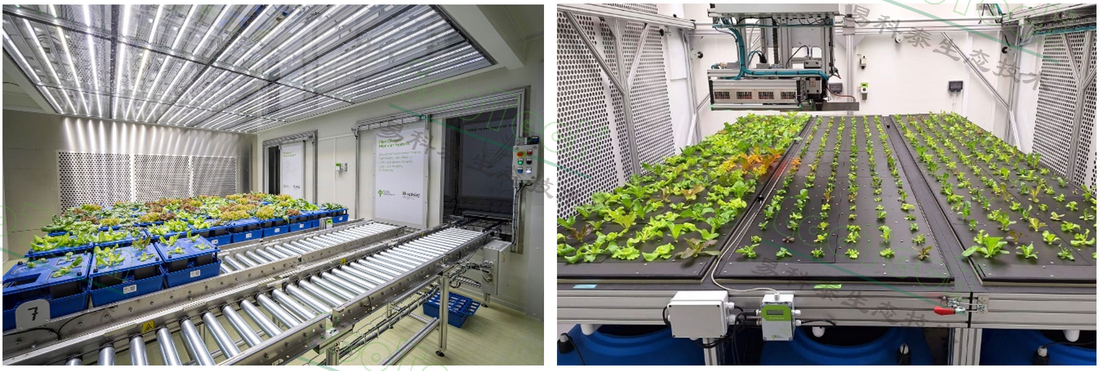 Z6��������ʱ���й����ٷ���վ