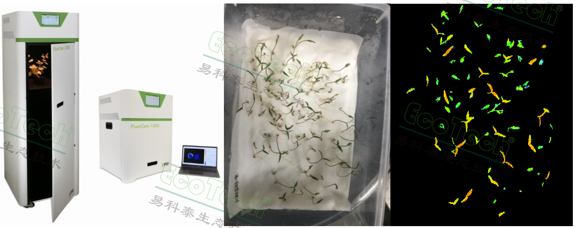 Z6��������ʱ���й����ٷ���վ