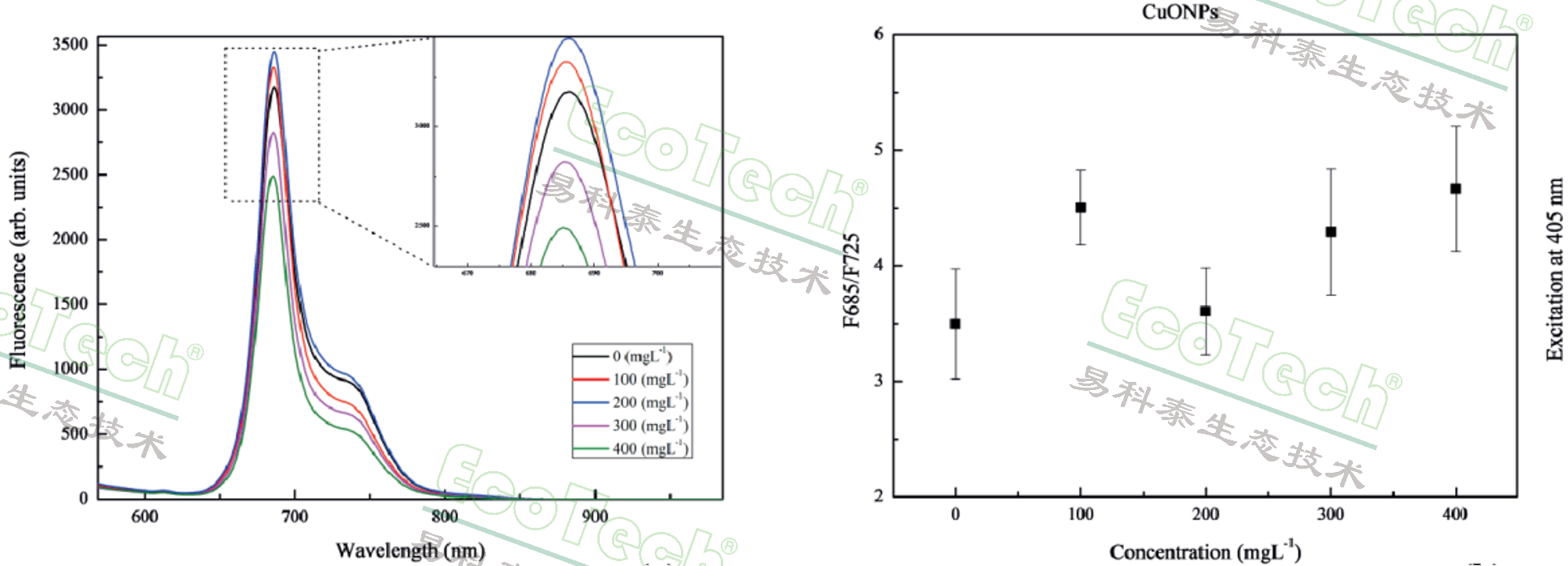 Z6��������ʱ���й����ٷ���վ