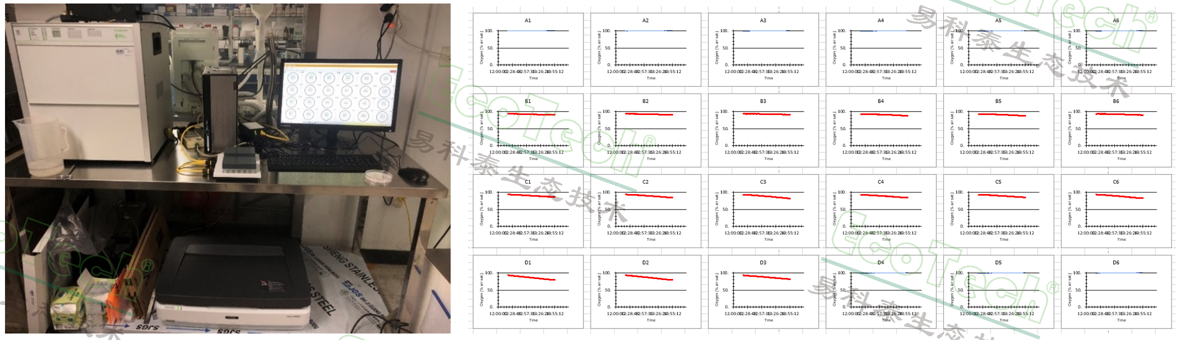 Z6��������ʱ���й����ٷ���վ