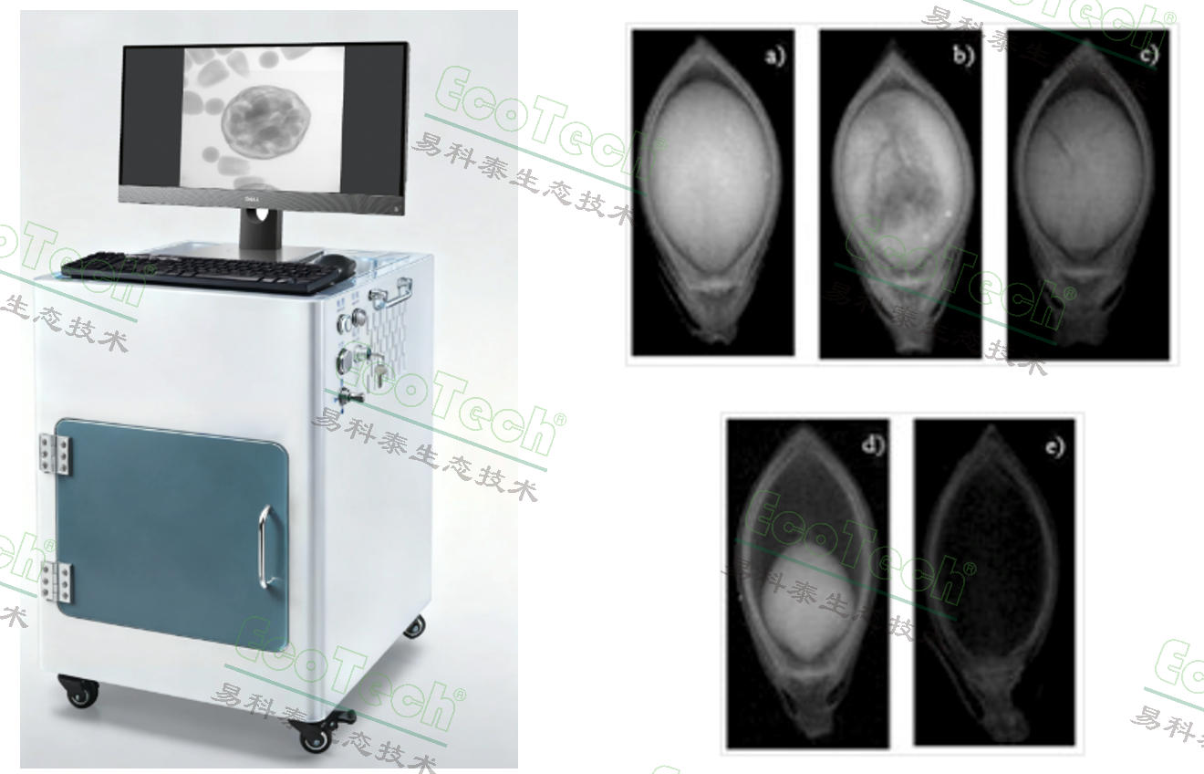 Z6��������ʱ���й����ٷ���վ