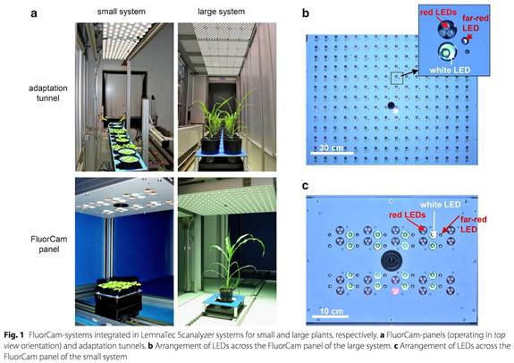 ../../../Ʒ/ӫ/PSI/Phenotyping/ο/PlantScreenο/IPK-2017/0101sm.jpg