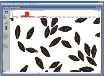 WinSEEDLE ӺҶͼϵͳ